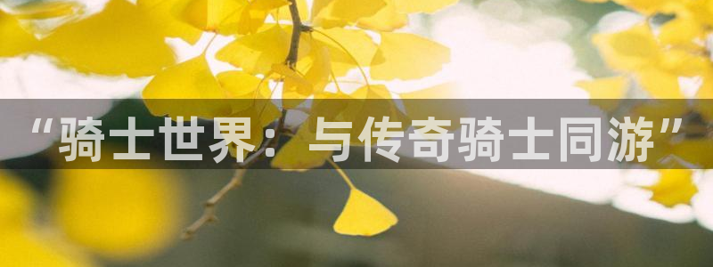 天辰娱乐登录