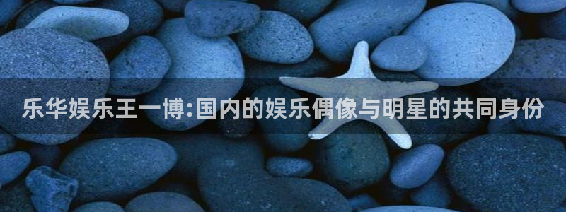 天辰娱乐