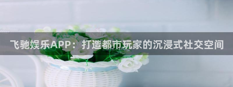 天辰娱乐