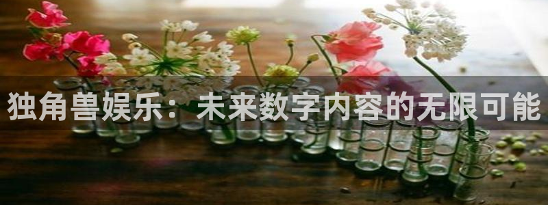 天辰娱乐