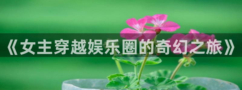 天辰娱乐